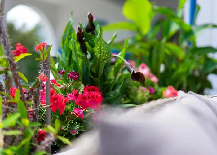 Irene ベッド・アンド・ブレックファスト